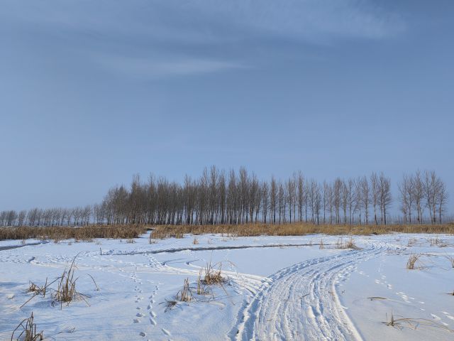 雪地-圖片來源編輯網(wǎng)
