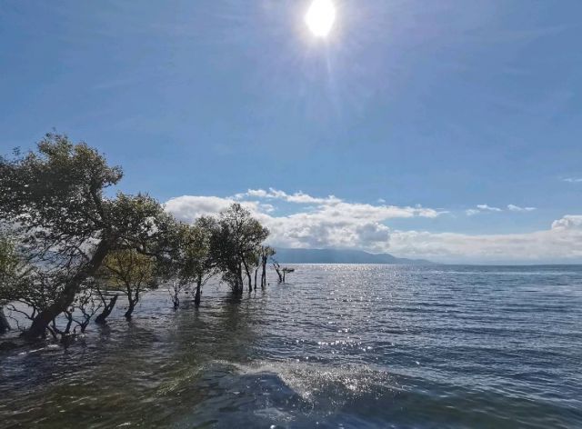 云南之旅-圖片來源編輯網(wǎng)