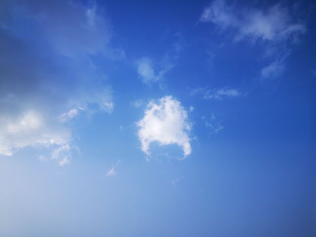 圖片來源-編輯網(wǎng)