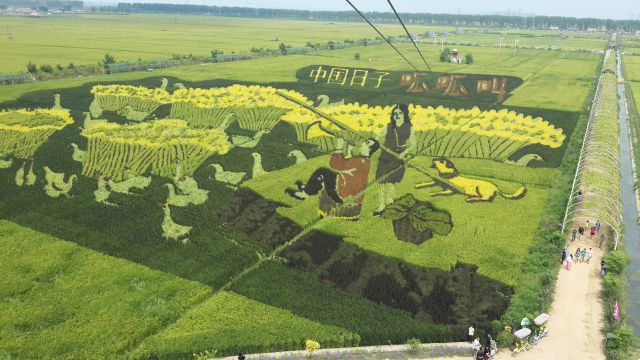 稻夢(mèng)空間-圖片來(lái)源編輯網(wǎng)