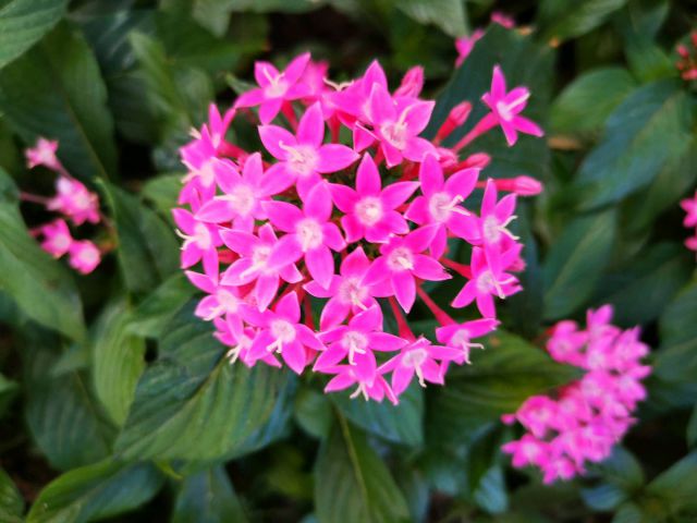 圖片來源編輯網