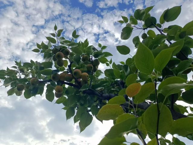 圖片來源-編輯網(wǎng)